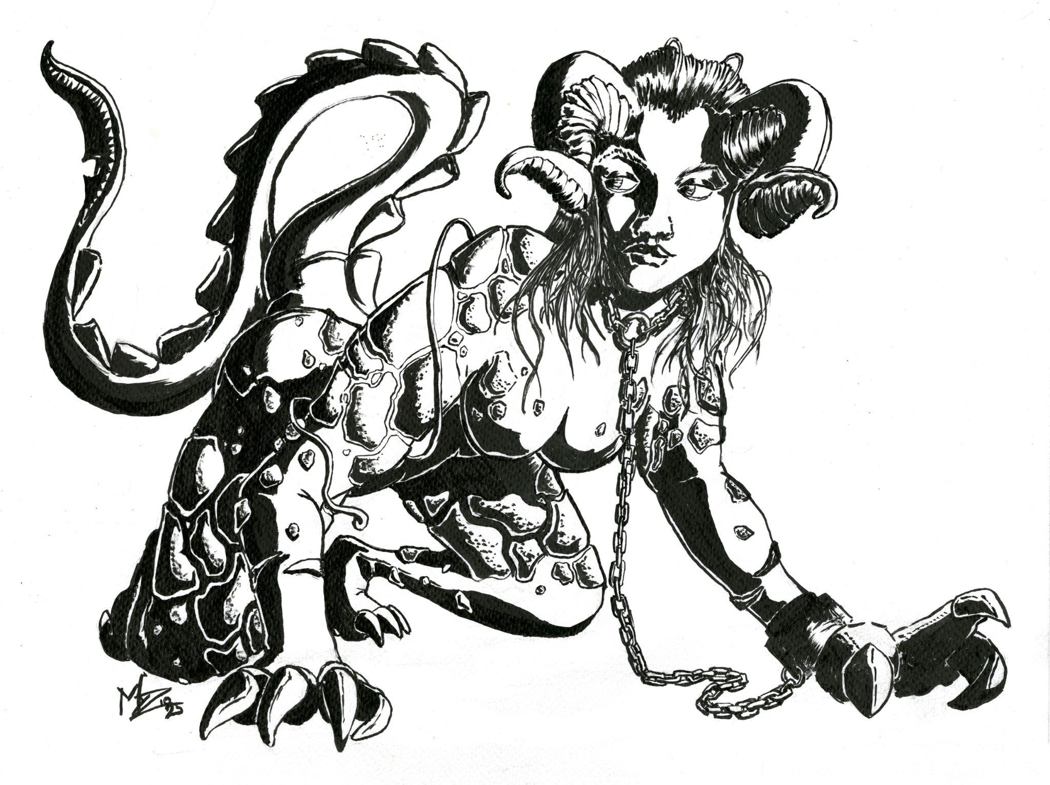 Portfolio 5