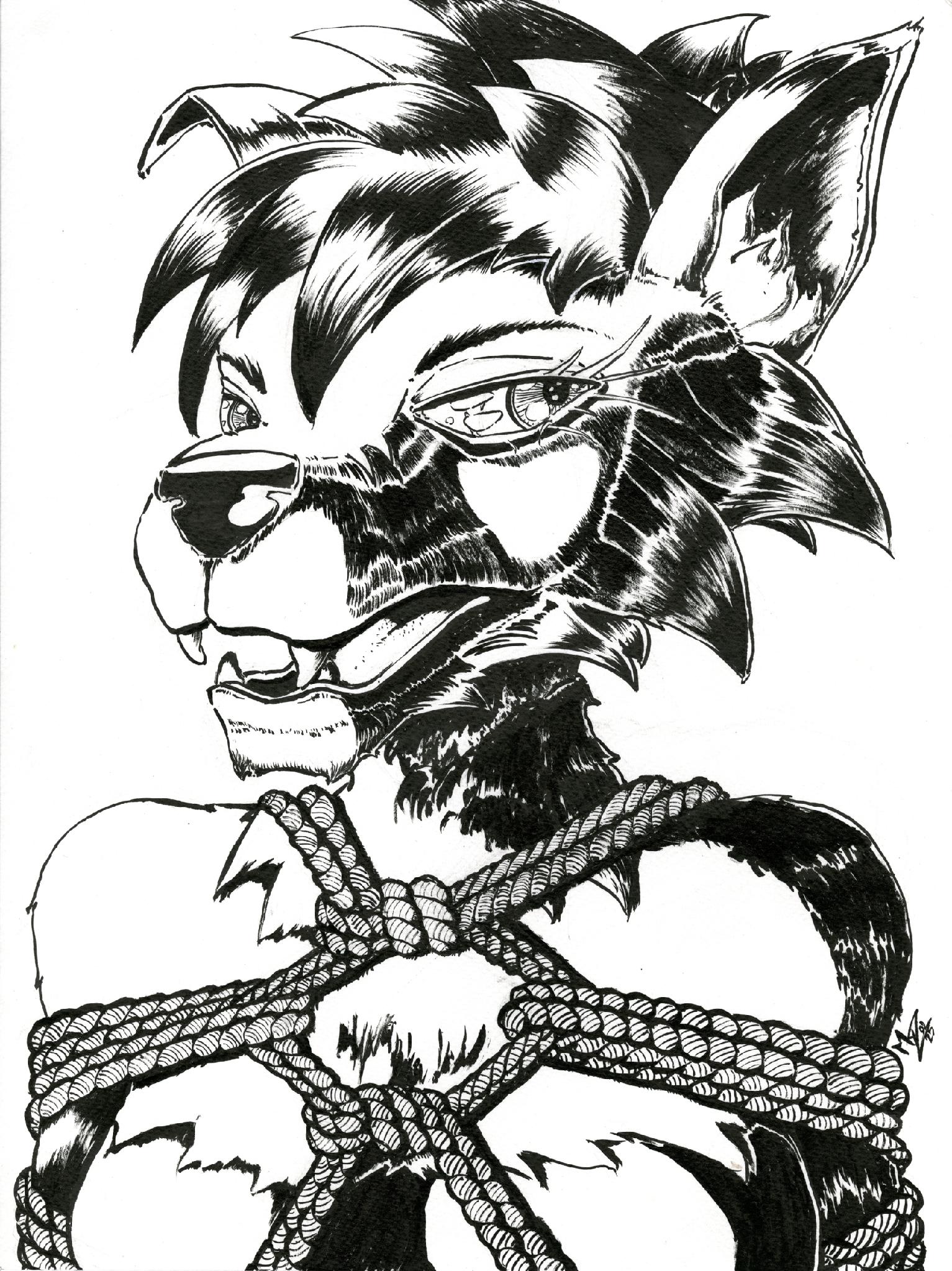 Portfolio 6