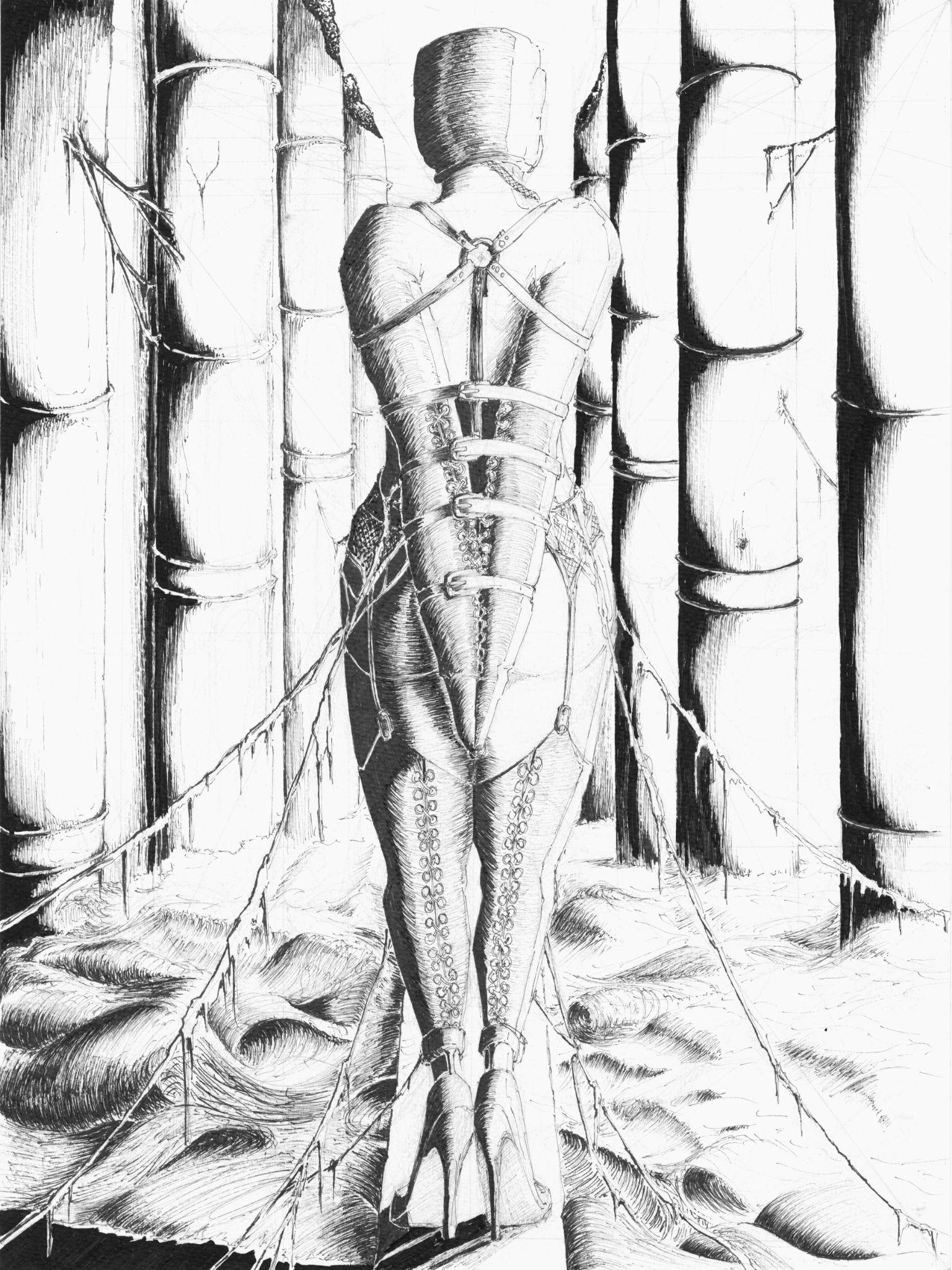 Portfolio 5
